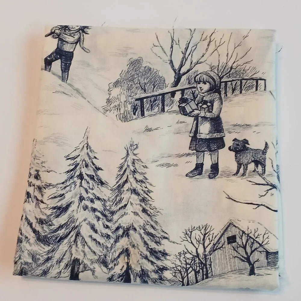 Winter Blue/Cream Pillows Or Table Runner kit by Bernina /Benartex BERWT-PIL - Picture 4 of 16